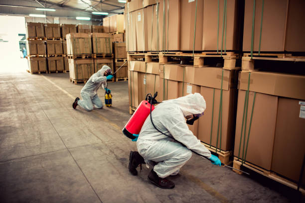 Best Best Pest Control Companies  in East Hazel Crest, IL