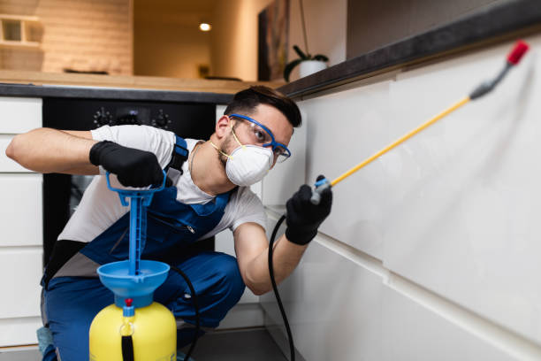 Pest Control Cost in East Hazel Crest, IL