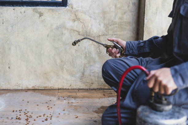 Best Pest Inspection Near Me  in East Hazel Crest, IL